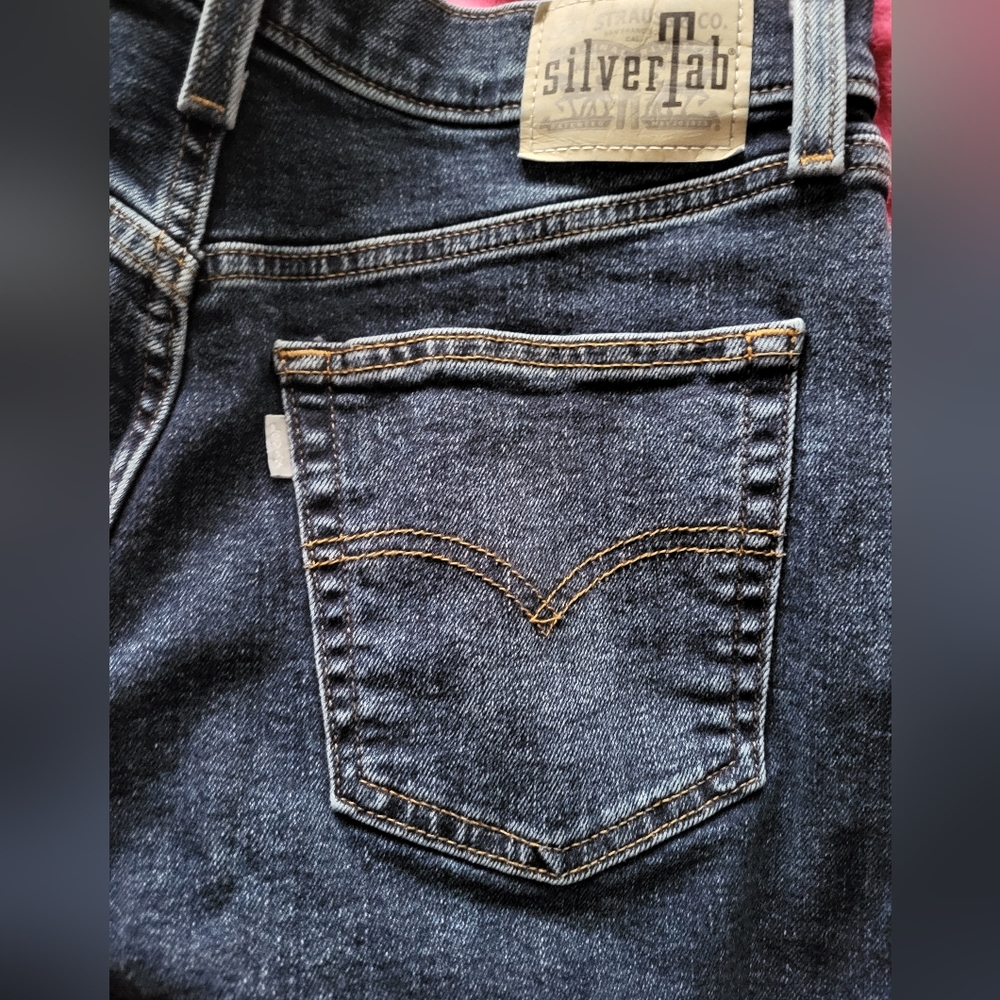 Silvertab Levi Mom jeans,size 30,length is 28-30 Perfect condition I have 2 pair